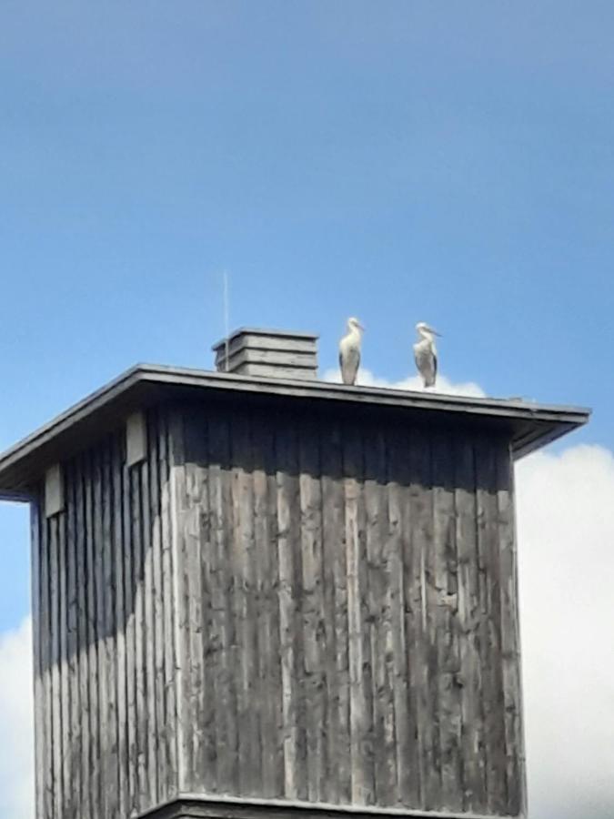 Ferienwohnung Am Schloss Reuterstadt Stavenhagen Eksteriør bilde